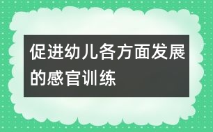 促進幼兒各方面發(fā)展的感官訓練