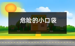 危險(xiǎn)的“小口袋”