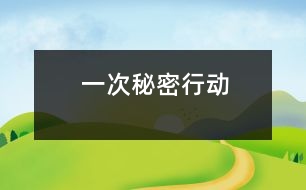 一次秘密行動