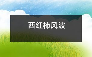 西紅柿風(fēng)波