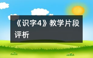 《識字4》教學(xué)片段評析