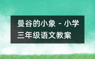 曼谷的小象 - 小學(xué)三年級(jí)語文教案