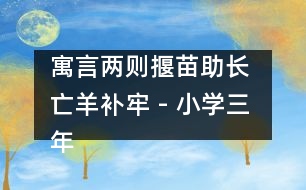 寓言兩則（揠苗助長 亡羊補(bǔ)牢） - 小學(xué)三年級語文教案