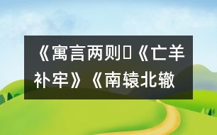 《寓言兩則?《亡羊補(bǔ)牢》、《南轅北轍》》教學(xué)設(shè)計(jì),教案