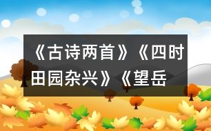 《古詩(shī)兩首》《四時(shí)田園雜興》、《望岳》教學(xué)設(shè)計(jì)之二