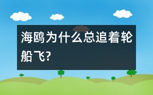 海鷗為什么總追著輪船飛?