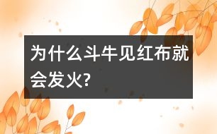 為什么斗牛見紅布就會發(fā)火?