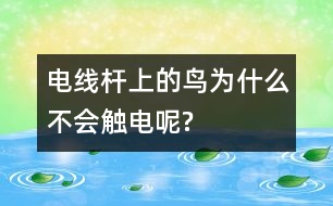 電線桿上的鳥(niǎo)為什么不會(huì)觸電呢?