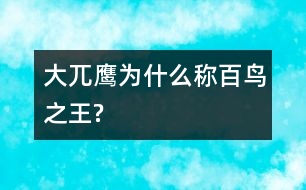 大兀鷹為什么稱百鳥之王?