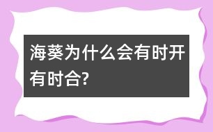 ?？麨槭裁磿?huì)有時(shí)開(kāi)有時(shí)合?