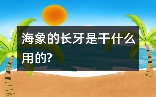 海象的長(zhǎng)牙是干什么用的?