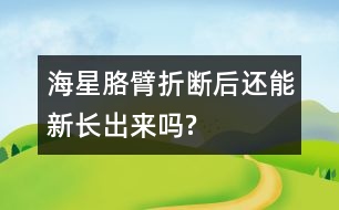 海星胳臂折斷后還能新長(zhǎng)出來(lái)嗎?