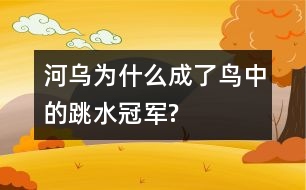 河烏為什么成了鳥中的“跳水冠軍”?