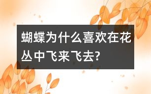 蝴蝶為什么喜歡在花叢中飛來(lái)飛去?