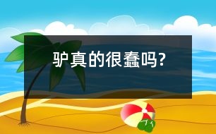 驢真的很蠢嗎?