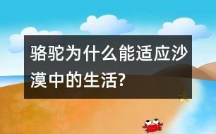 駱駝為什么能適應(yīng)沙漠中的生活?