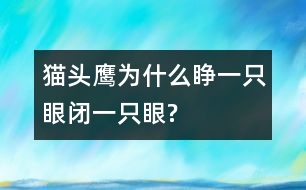 貓頭鷹為什么睜一只眼閉一只眼?