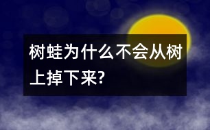 樹蛙為什么不會(huì)從樹上掉下來?