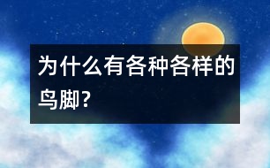 為什么有各種各樣的鳥(niǎo)腳?