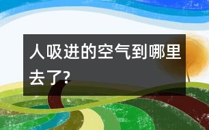 人吸進(jìn)的空氣到哪里去了?