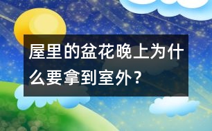 屋里的盆花晚上為什么要拿到室外？