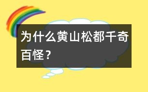 為什么黃山松都千奇百怪？