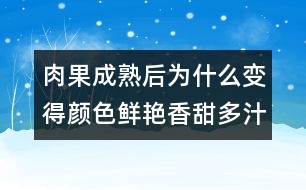 肉果成熟后為什么變得顏色鮮艷香甜多汁？