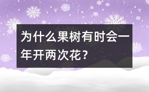 為什么果樹(shù)有時(shí)會(huì)一年開(kāi)兩次花？