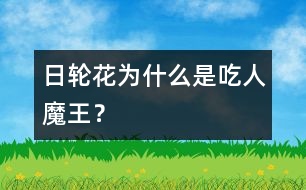 日輪花為什么是“吃人魔王”？