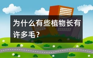 為什么有些植物長(zhǎng)有許多毛？