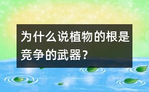 為什么說植物的根是競爭的武器？