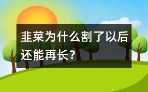 韭菜為什么割了以后還能再長？