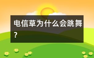 電信草為什么會(huì)跳舞？