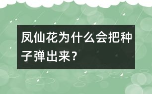 鳳仙花為什么會把種子彈出來？