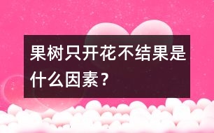 果樹只開花不結(jié)果是什么因素？