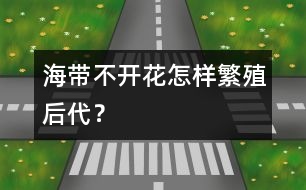 海帶不開花怎樣繁殖后代？