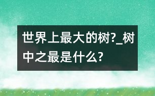 世界上最大的樹(shù)?_樹(shù)中之最是什么?