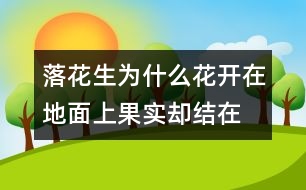 落花生為什么花開在地面上,果實卻結(jié)在地下？