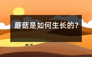 蘑菇是如何生長(zhǎng)的？