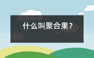 什么叫聚合果？