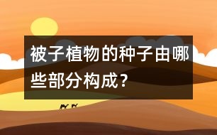 被子植物的種子由哪些部分構(gòu)成？