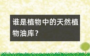 誰是植物中的“天然植物油庫”？