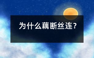 為什么藕斷絲連？