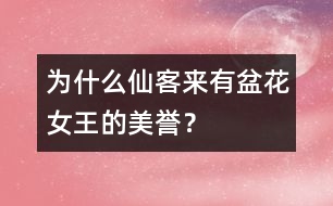 為什么仙客來有“盆花女王”的美譽(yù)？