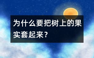 為什么要把樹(shù)上的果實(shí)套起來(lái)？