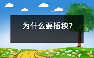 為什么要插秧？