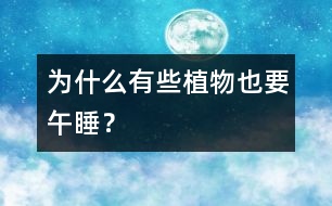 為什么有些植物也要“午睡”？