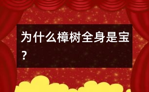 為什么樟樹(shù)全身是寶？