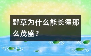 野草為什么能長(zhǎng)得那么茂盛？