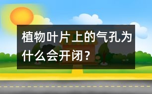 植物葉片上的氣孔為什么會開閉？